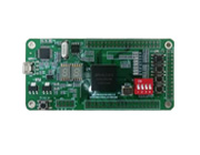 EG4A20BG256-MINI-DEV FPGA,忨,оƬ